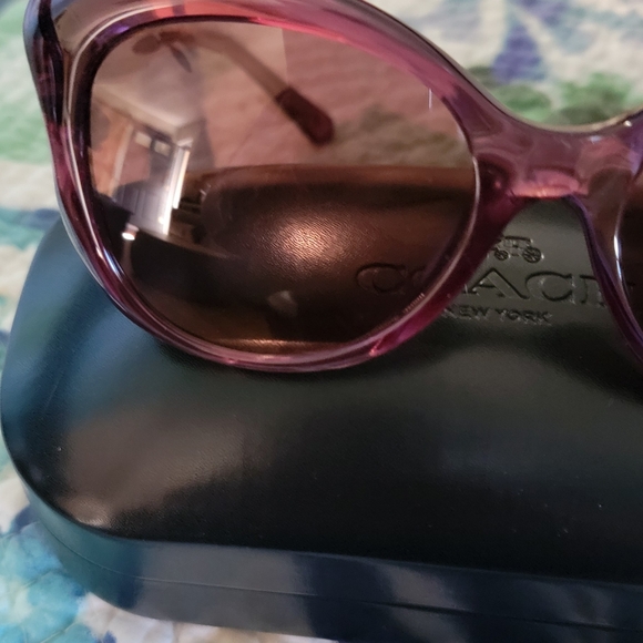 Coach Butterfly Sunglasses - HC8307U - Picture 4 of 14